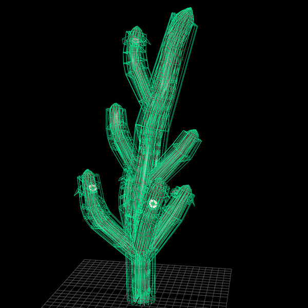 3d saguaro cactus model - Saguaro Cactus by The Maya Guy