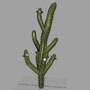 3d saguaro cactus model