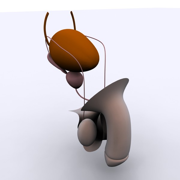 3ds max reproductive basic - Male Reproductive System Basic... by MotionMediaWorkshop