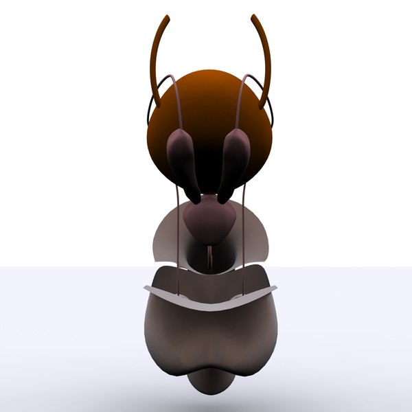 3ds max reproductive basic - Male Reproductive System Basic... by MotionMediaWorkshop