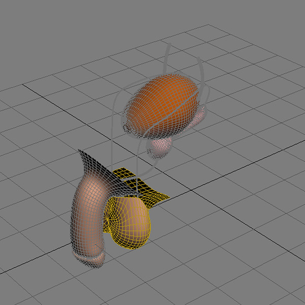 3ds max reproductive basic - Male Reproductive System Basic... by MotionMediaWorkshop