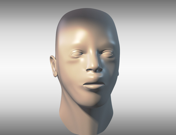 african male head 3d model - Male Head by cAnimator