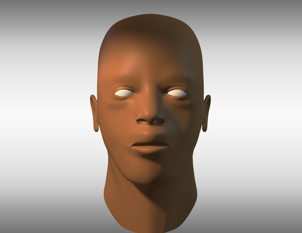 african male head 3d model - Male Head by cAnimator