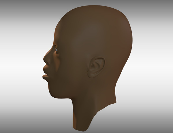 african male head 3d model - Male Head by cAnimator