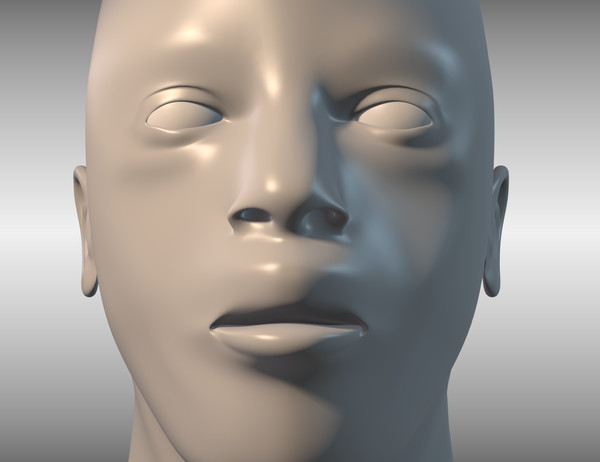 african male head 3d model - Male Head by cAnimator