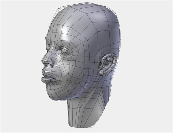 african male head 3d model - Male Head by cAnimator