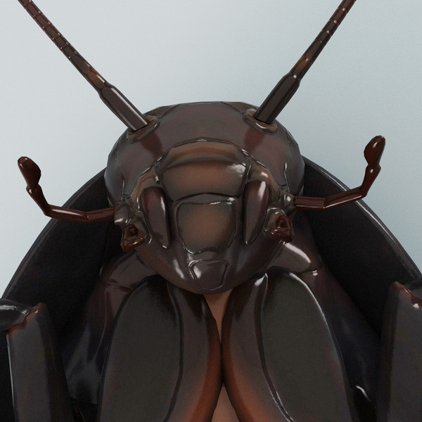 3d model madagascar hissing cockroach - Madagascar Hissing Cockroach... by 3d_molier