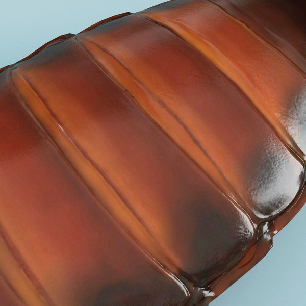 3d model madagascar hissing cockroach - Madagascar Hissing Cockroach... by 3d_molier