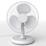 standing fan max