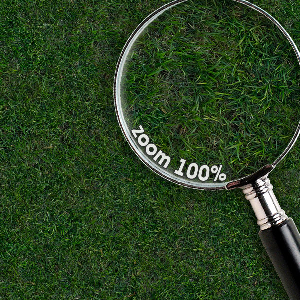 Grass Textures 1024x1024 vol.1