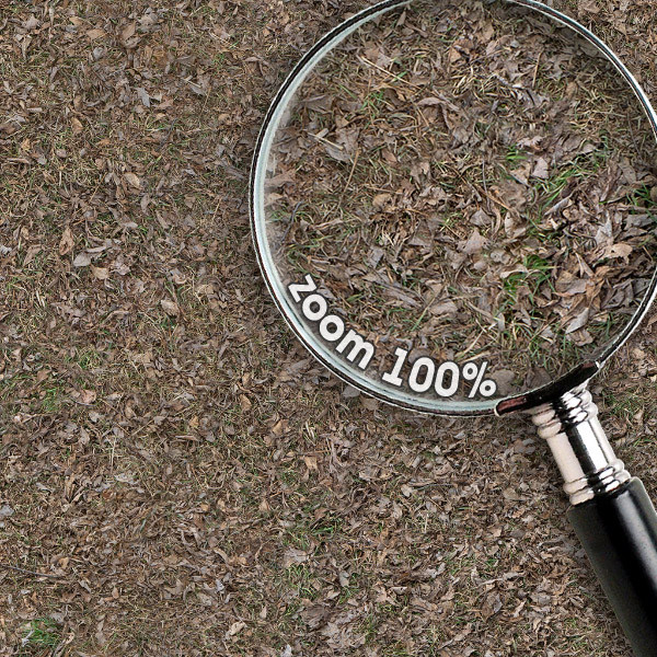 Grass Textures 1024x1024 vol.1