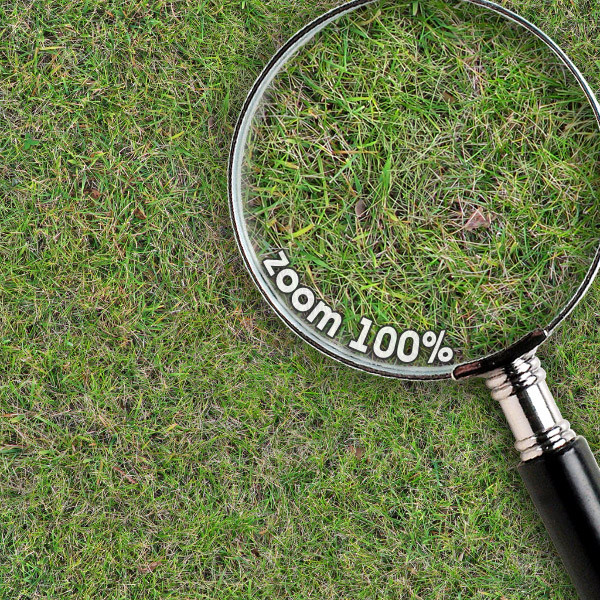 Grass Textures 1024x1024 vol.1