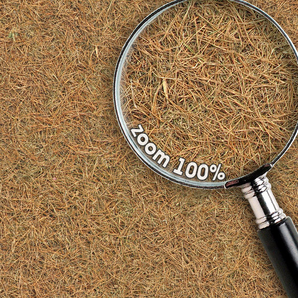 Grass Textures 1024x1024 vol.1