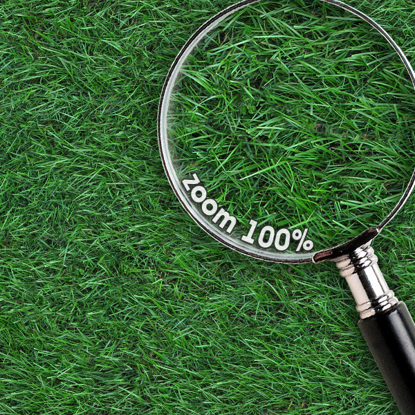 Grass Textures 1024x1024 vol.1