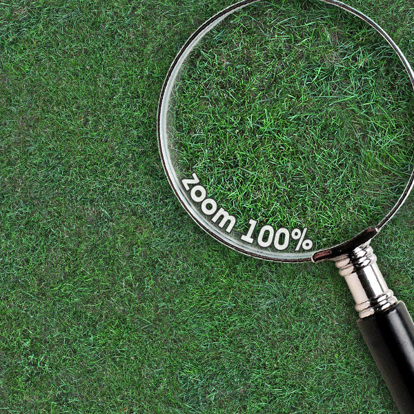 Grass Textures 1024x1024 vol.1