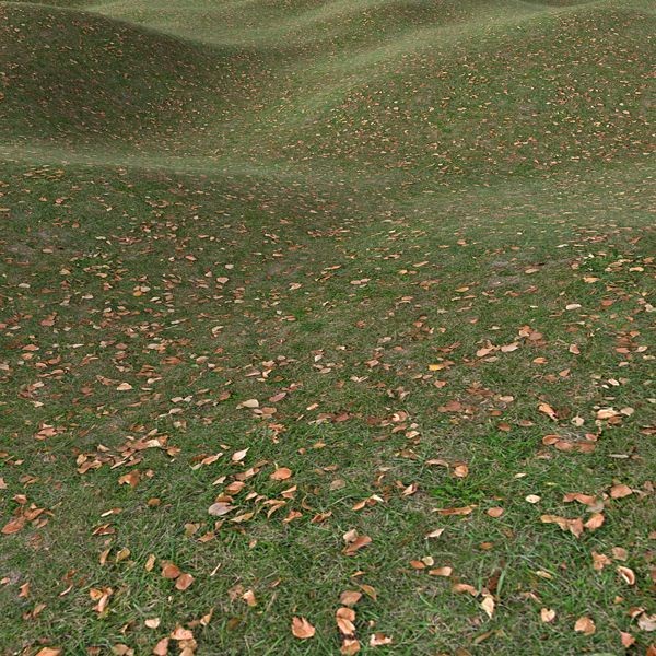Grass Textures 1024x1024 vol.1