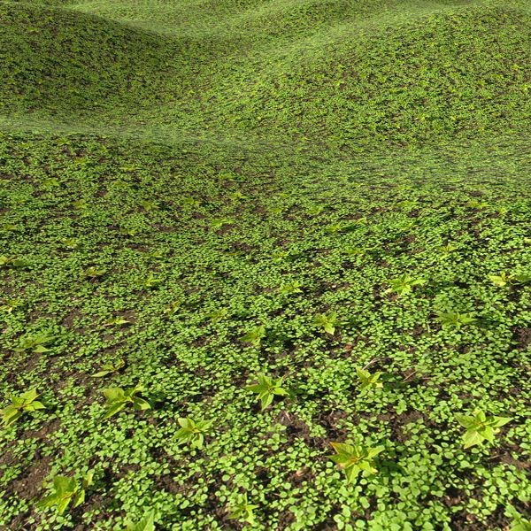 Grass Textures 1024x1024 vol.1