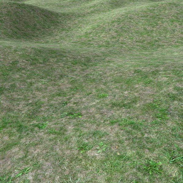 Grass Textures 1024x1024 vol.1