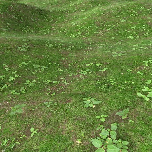 Grass Textures 1024x1024 vol.1
