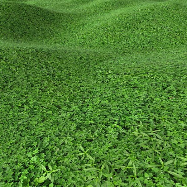 Grass Textures 1024x1024 vol.1