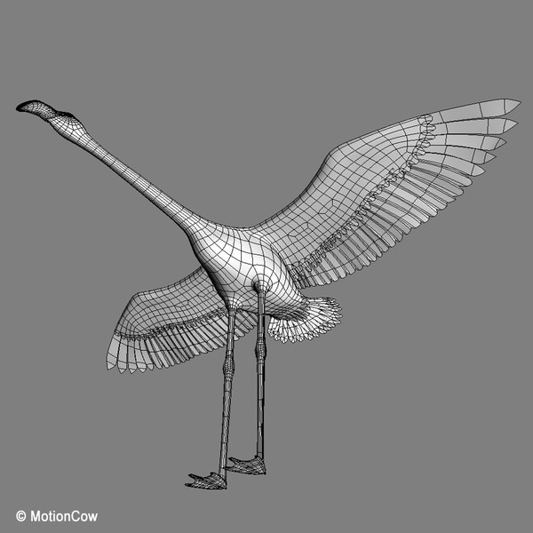 maya realistic flying flamingo - Flamingo ( Flying )... by MotionCow
