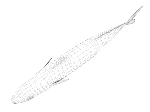3ds max mackerel - Mackerel by 3dsam79