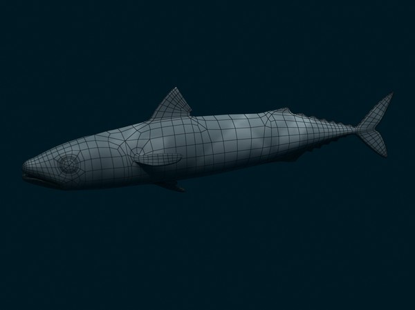 3ds max mackerel - Mackerel by 3dsam79