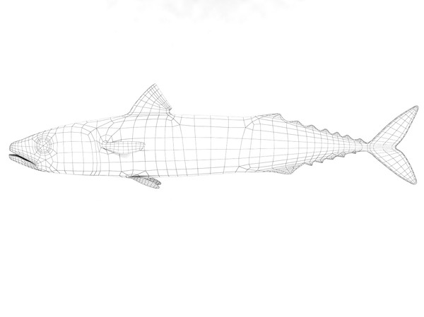 3ds max mackerel - Mackerel by 3dsam79