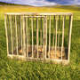 3ds max animal cage