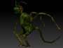 3d insect