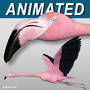 3d realistic flying pink flamingo model