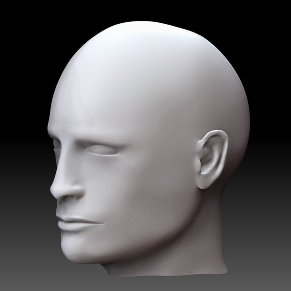 3d male head - Head male by Pygmys