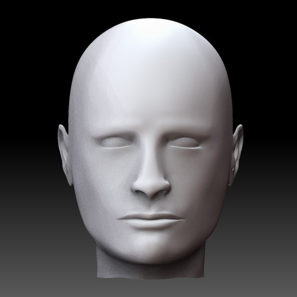 3d male head - Head male by Pygmys