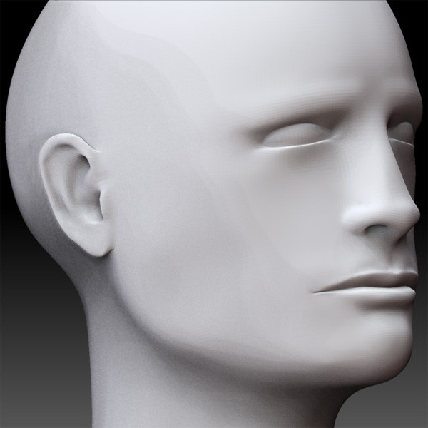 3d male head - Head male by Pygmys