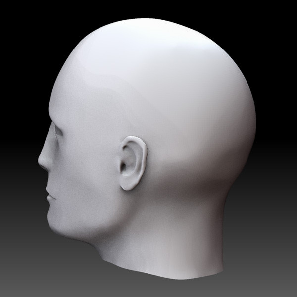 3d male head - Head male by Pygmys