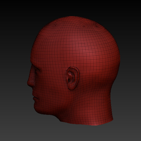 3d male head - Head male by Pygmys