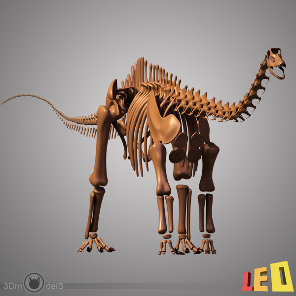 3ds max dino skeleton diplodocus separate - Dino skeleton / Diplodocus / with separate bones by leo3Dmodels