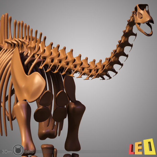 3ds max dino skeleton diplodocus separate - Dino skeleton / Diplodocus / with separate bones by leo3Dmodels