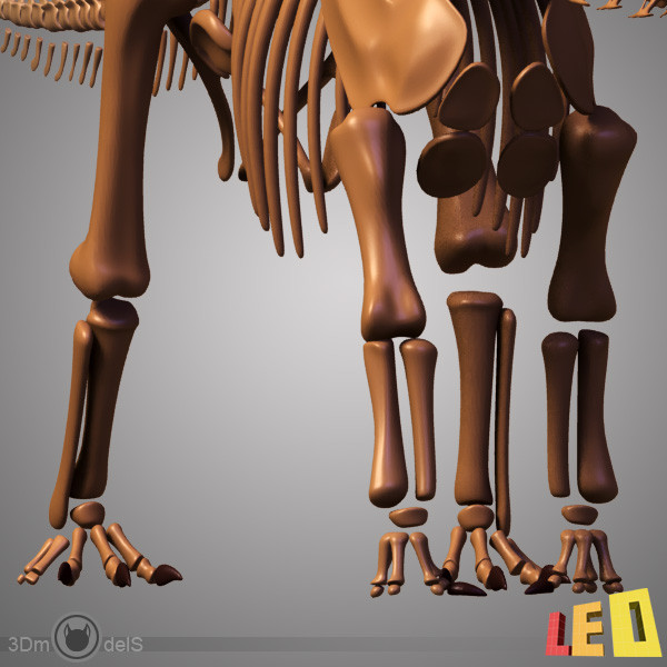 3ds max dino skeleton diplodocus separate - Dino skeleton / Diplodocus / with separate bones by leo3Dmodels