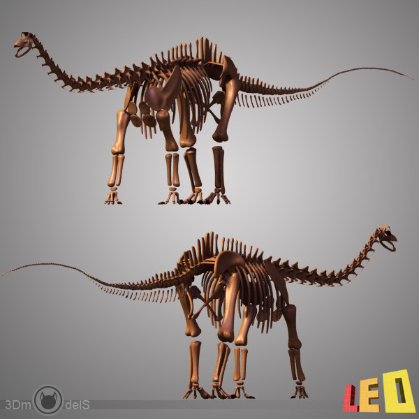 3ds max dino skeleton diplodocus separate - Dino skeleton / Diplodocus / with separate bones by leo3Dmodels