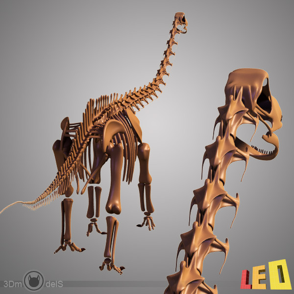 3ds max dino skeleton diplodocus separate - Dino skeleton / Diplodocus / with separate bones by leo3Dmodels