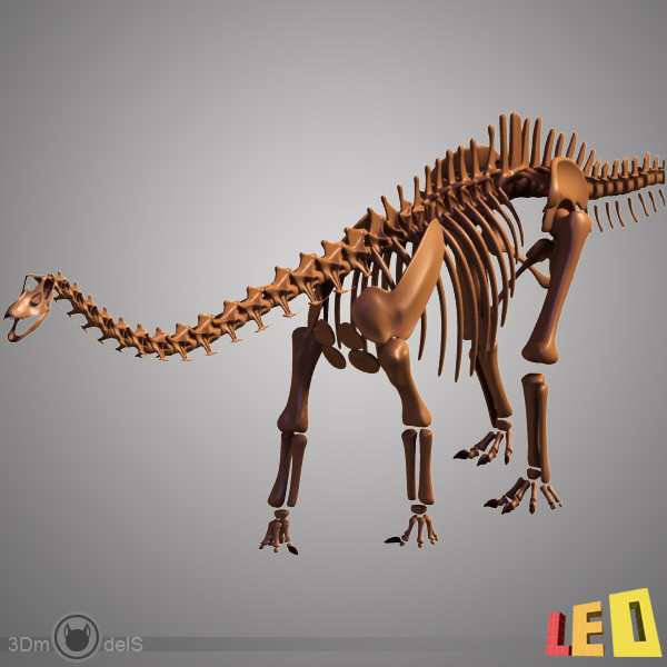 3ds max dino skeleton diplodocus separate - Dino skeleton / Diplodocus / with separate bones by leo3Dmodels