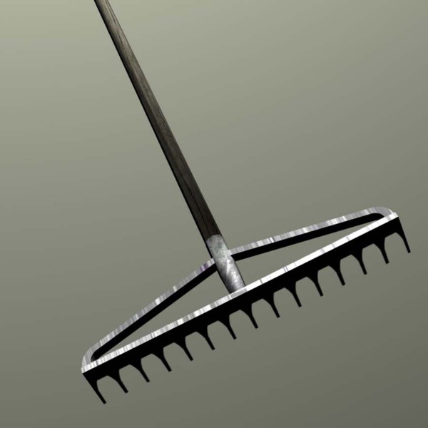 3d rake - rake by gamewarden01