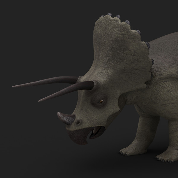 maya triceratops rigged - Triceratops (Rigged) by twopixels
