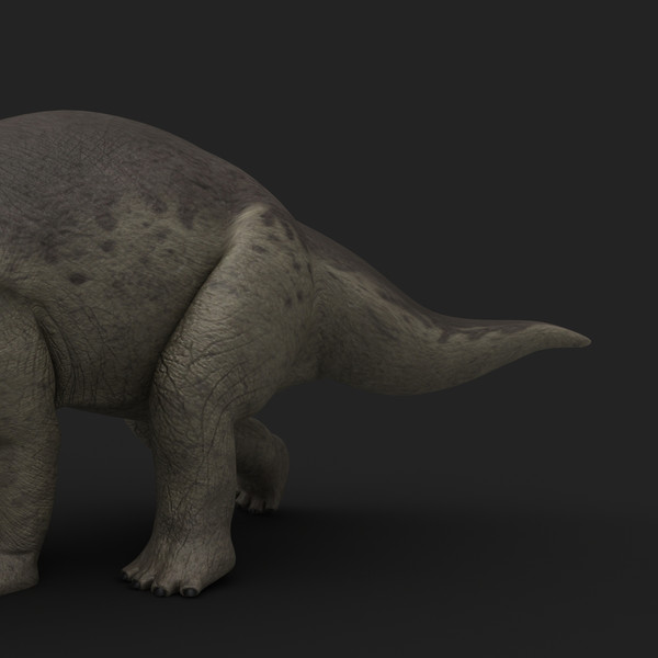 maya triceratops rigged - Triceratops (Rigged) by twopixels
