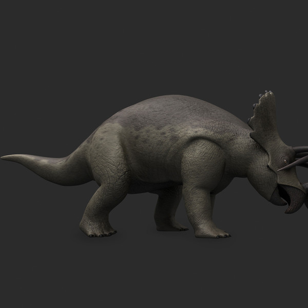 maya triceratops rigged - Triceratops (Rigged) by twopixels