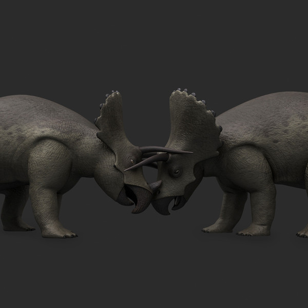 maya triceratops rigged - Triceratops (Rigged) by twopixels
