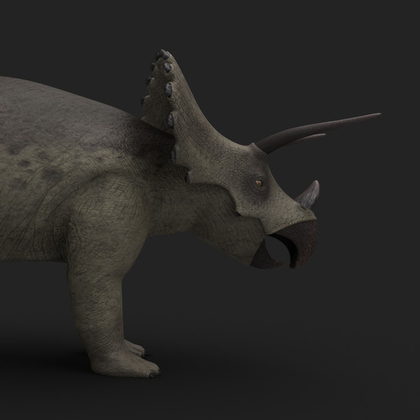 maya triceratops rigged - Triceratops (Rigged) by twopixels