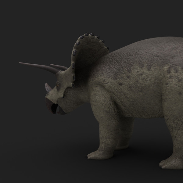 maya triceratops rigged - Triceratops (Rigged) by twopixels