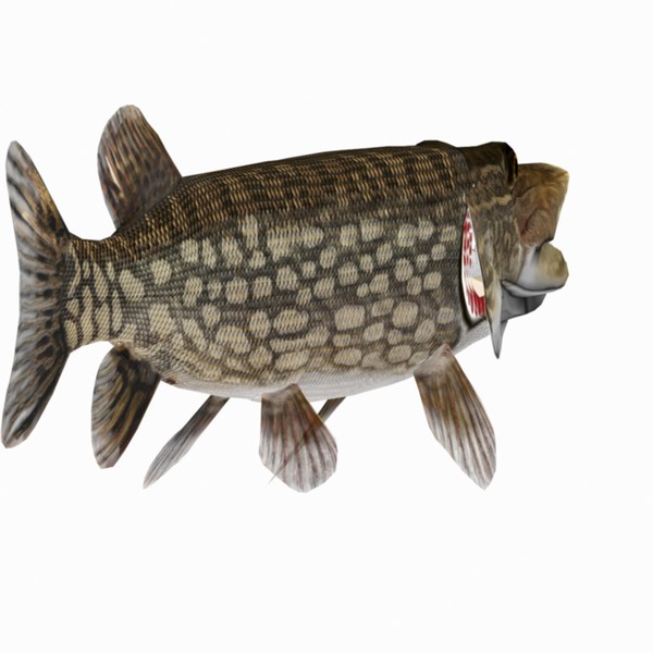 max pike northern - Northern Pike by Bob Markowski